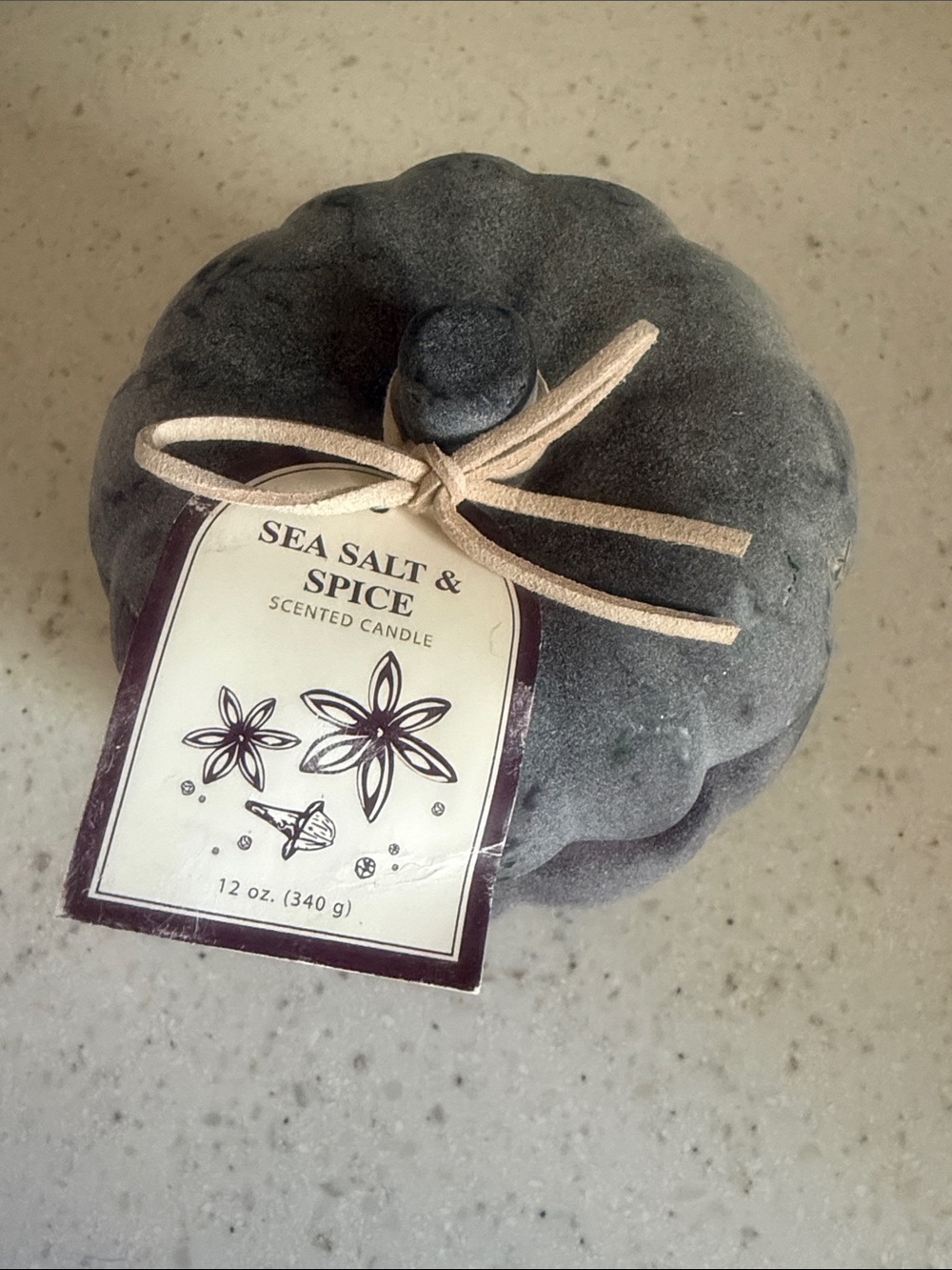 Target Sea Salt & Spice Velvet Gray Pumpkin Candle